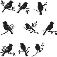 Set of Bird on a Tree branch black silhouette vector