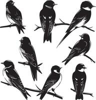 Set of Bird on a Tree branch black silhouette vector