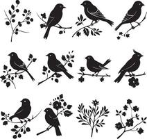 Set of Bird on a Tree branch black silhouette vector