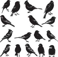 Black silhouette birds on white background vector