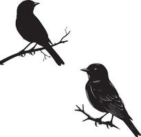 Set of Bird on a Tree branch black silhouette vector