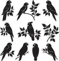 Set of black Silhouette Parrot on a branch vector