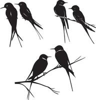 Swallow Birds Flying Silhouettes vector