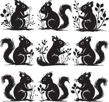 Vector squirrels set silhouette Black and white icon on white background