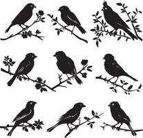 Silhouette of Sparrow birds on the branch white background vector