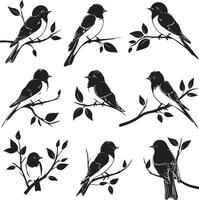 Silhouette of Sparrow birds on the branch white background vector