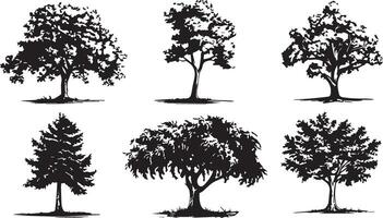 Big set of hand drawn tree sketches on white background vector