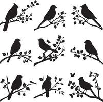 Set of Bird on a Tree branch black silhouette vector