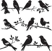 Set of Bird on a Tree branch black silhouette vector