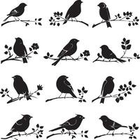 Set of Bird on a Tree branch black silhouette vector