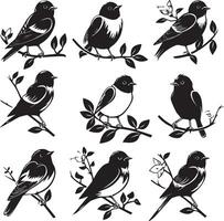 Set of Bird on a Tree branch black silhouette vector