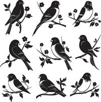 Silhouette of Sparrow birds on the branch white background vector