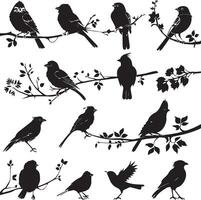 Set of Bird on a Tree branch black silhouette vector