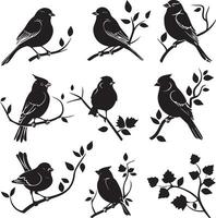 Set of Bird on a Tree branch black silhouette vector