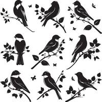 Set of Bird on a Tree branch black silhouette vector