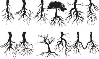 Root Icons Black Silhouette on white background vector