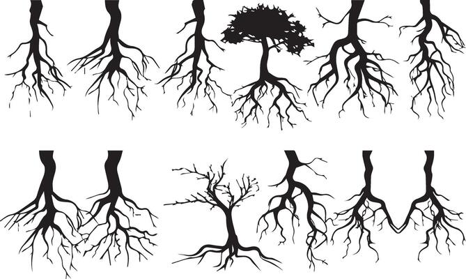 Root Icons Black Silhouette on white background