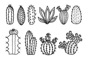 Hand drawn vector succulents on white background.