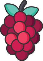 raspberry fruit icon vector illustration design