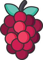 raspberry fruit icon vector illustration design