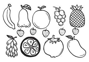 Various fruit sketch on white background. vector