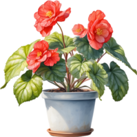 ai generato acquerello pittura di un' rex begonia pianta. png