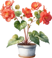 AI generated Watercolor painting of a Rex Begonia plant. png