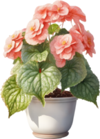 AI generated Watercolor painting of a Rex Begonia plant. png