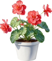 AI generated Watercolor painting of a Rex Begonia plant. png