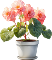 AI generated Watercolor painting of a Rex Begonia plant. png