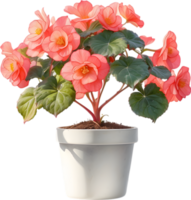 AI generated Watercolor painting of a Rex Begonia plant. png