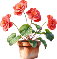 AI generated Watercolor painting of a Rex Begonia plant. png