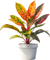 AI generated Watercolor painting of a Crotons plant. png