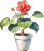 AI generated Watercolor painting of a Rex Begonia plant. png