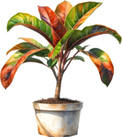 AI generated Watercolor painting of a Crotons plant. png