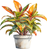 AI generated Watercolor painting of a Crotons plant. png