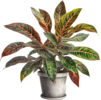 AI generated Watercolor painting of a Crotons plant. png