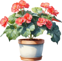 ai generato acquerello pittura di un' rex begonia pianta. png