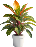 AI generated Watercolor painting of a Crotons plant. png