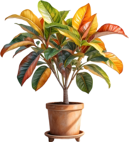 AI generated Watercolor painting of a Crotons plant. png