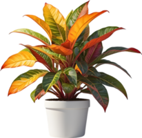 AI generated Watercolor painting of a Crotons plant. png