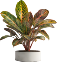 AI generated Watercolor painting of a Crotons plant. png