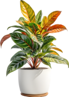 AI generated Watercolor painting of a Crotons plant. png