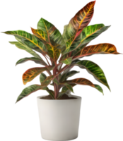 AI generated Watercolor painting of a Crotons plant. png