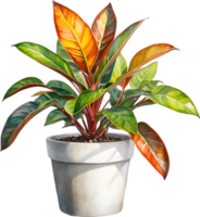 AI generated Watercolor painting of a Crotons plant. png