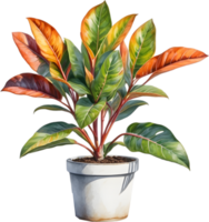 AI generated Watercolor painting of a Crotons plant. png