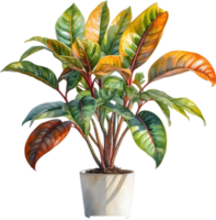 AI generated Watercolor painting of a Crotons plant. png