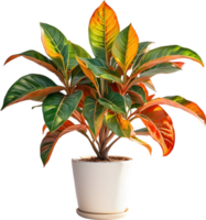 AI generated Watercolor painting of a Crotons plant. png