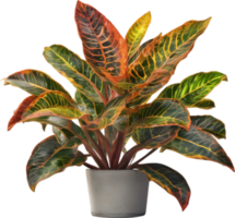 AI generated Watercolor painting of a Crotons plant. png