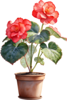 AI generated Watercolor painting of a Rex Begonia plant. png